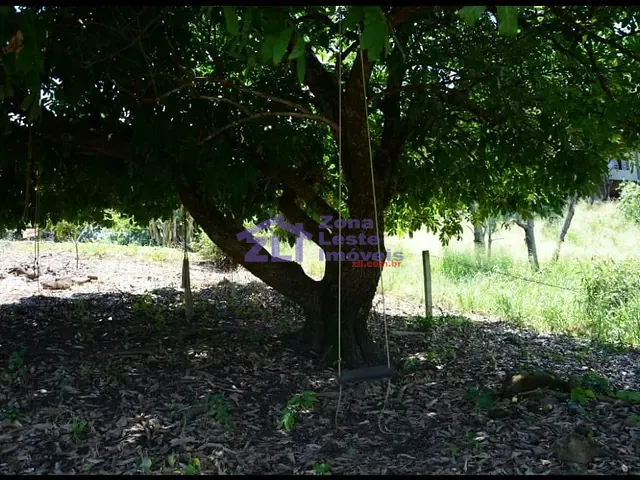 Terreno com 1000m², à venda, no bairro Jardim Das Paineiras em Águas da Prata