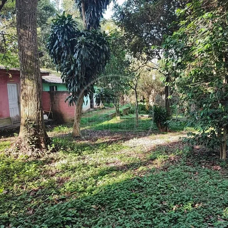 Terreno, 6000 m² - Foto 25