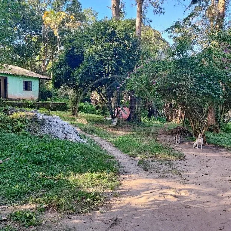 Terreno, 6000 m² - Foto 1