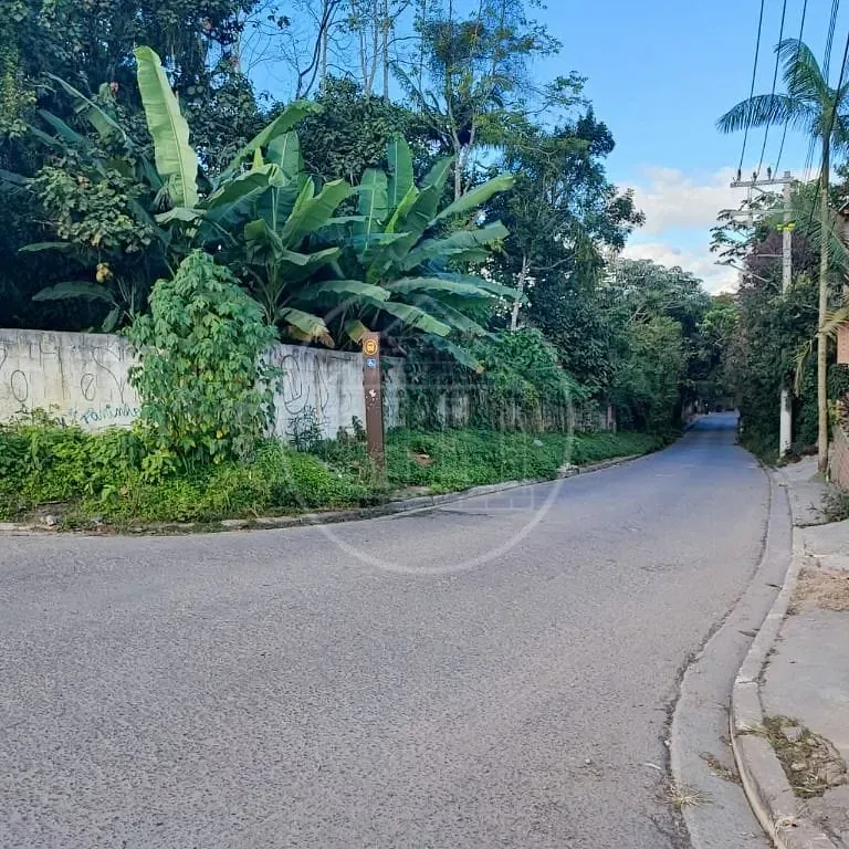Terreno, 6000 m² - Foto 11
