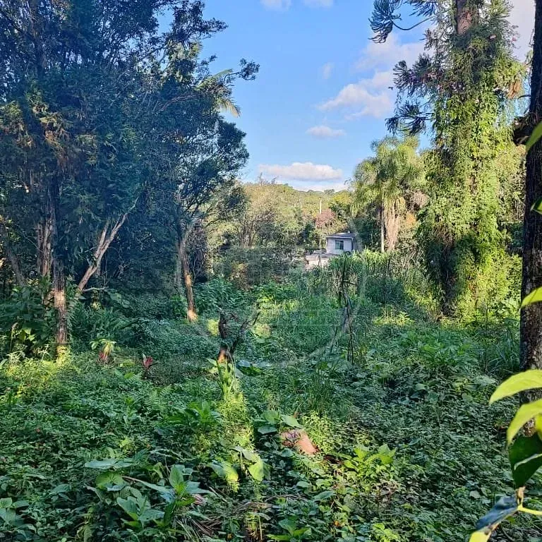 Terreno, 6000 m² - Foto 37