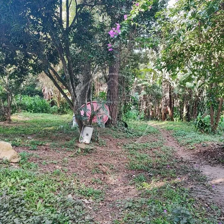 Terreno, 6000 m² - Foto 30