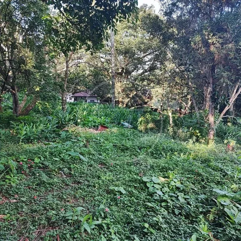 Terreno, 6000 m² - Foto 38