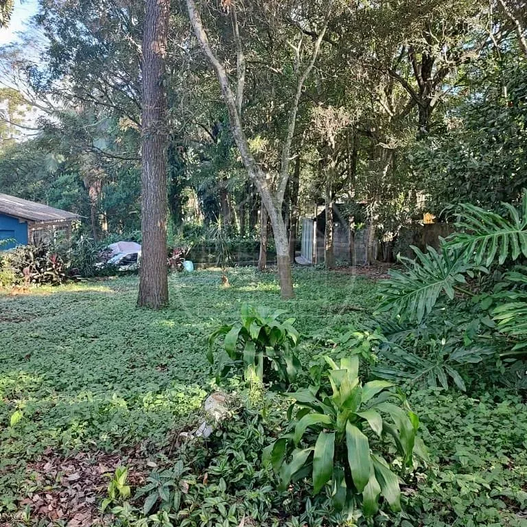 Terreno, 6000 m² - Foto 21