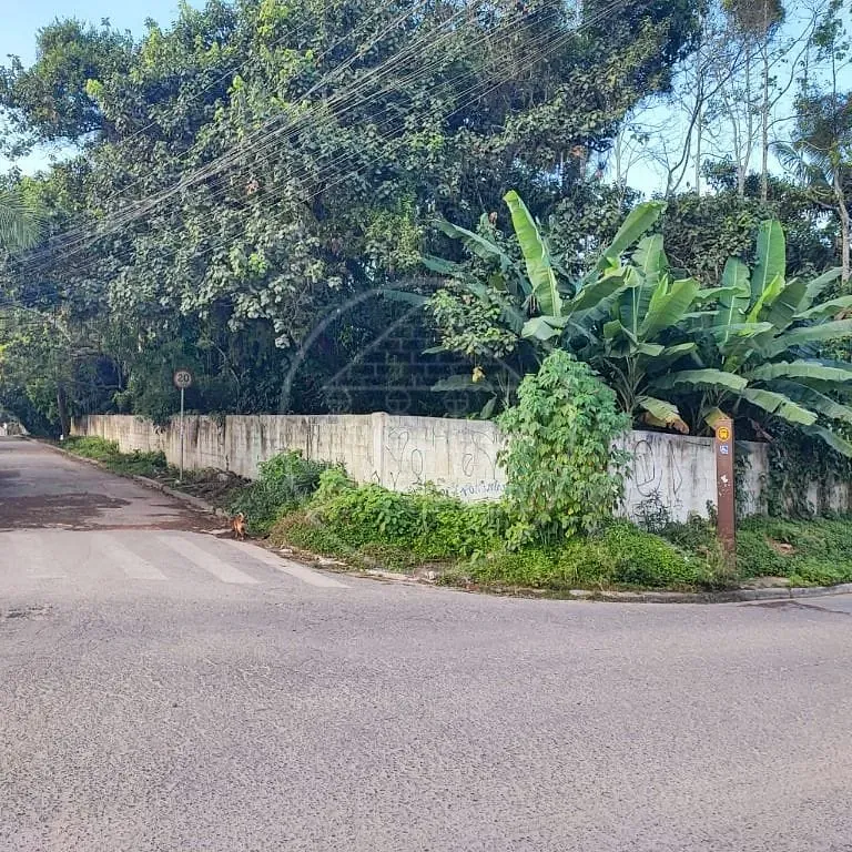 Terreno, 6000 m² - Foto 9