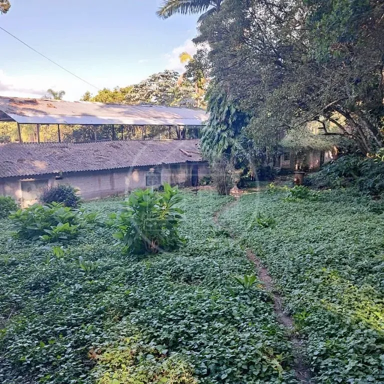 Terreno, 6000 m² - Foto 46