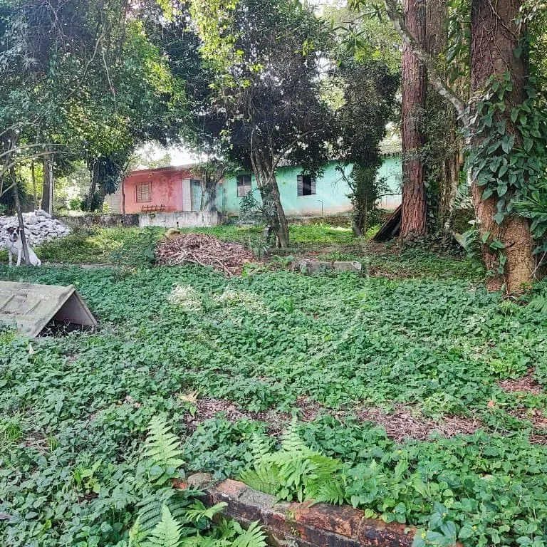 Terreno, 6000 m² - Foto 41