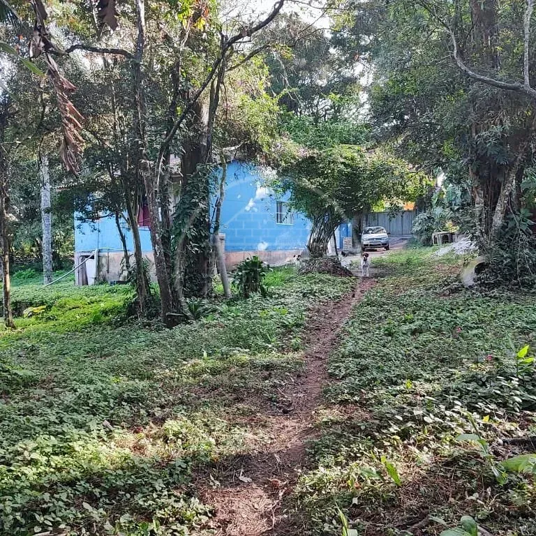 Terreno, 6000 m² - Foto 33