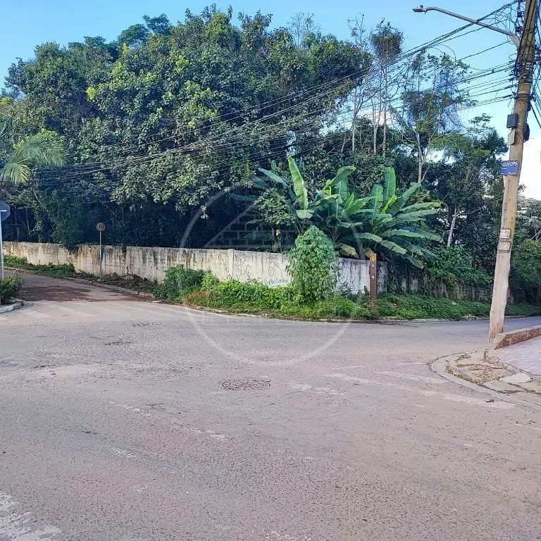 Terreno, 6000 m² - Foto 10