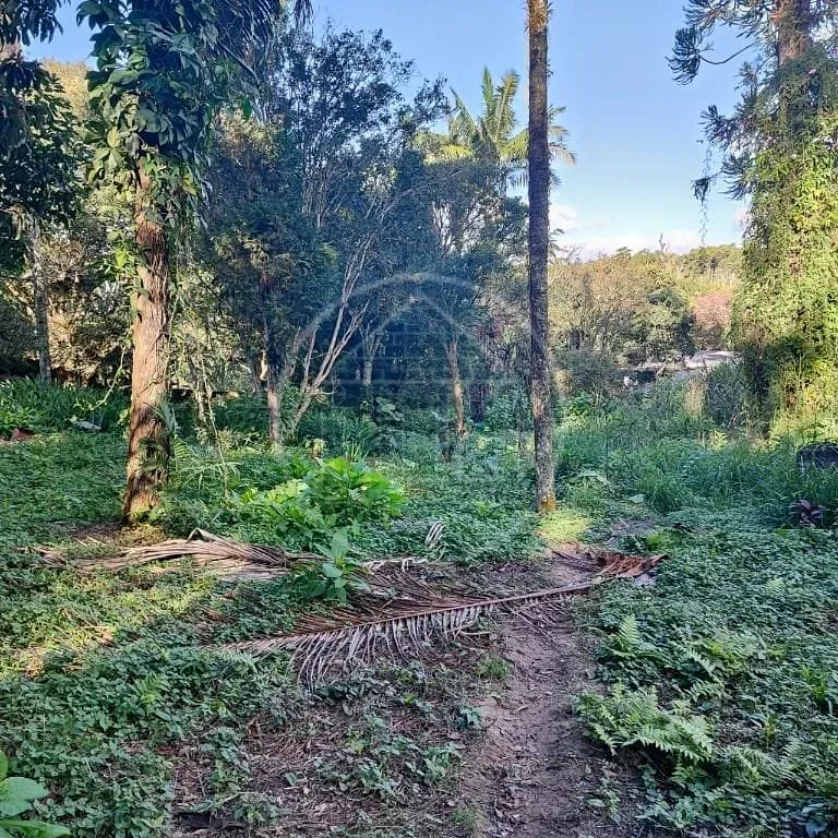 Terreno, 6000 m² - Foto 43