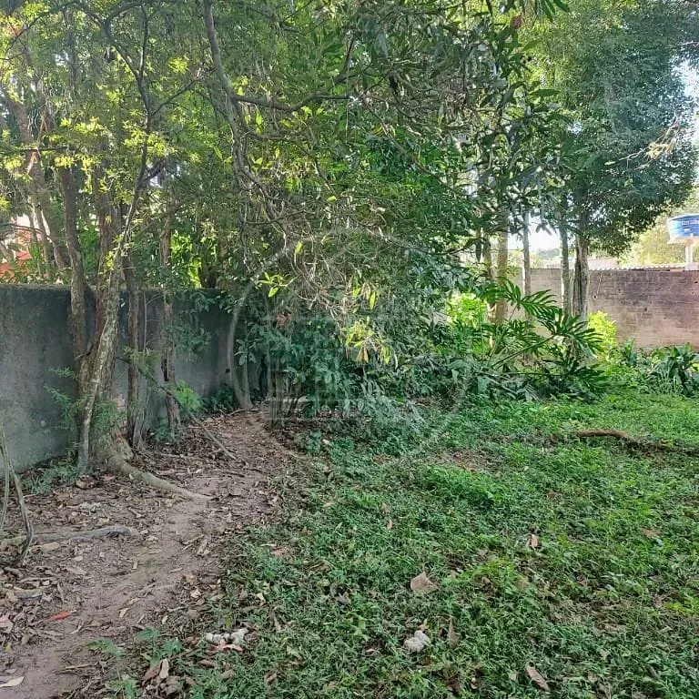 Terreno, 6000 m² - Foto 24