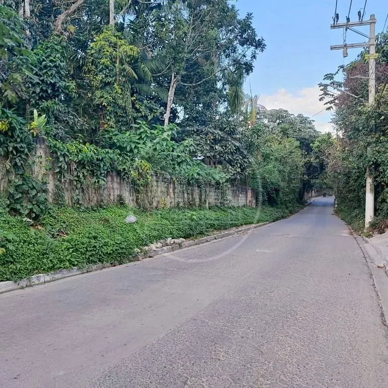 Terreno, 6000 m² - Foto 7