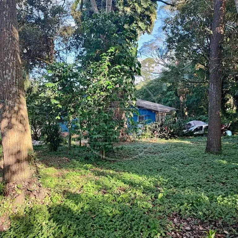 Terreno, 6000 m² - Foto 23