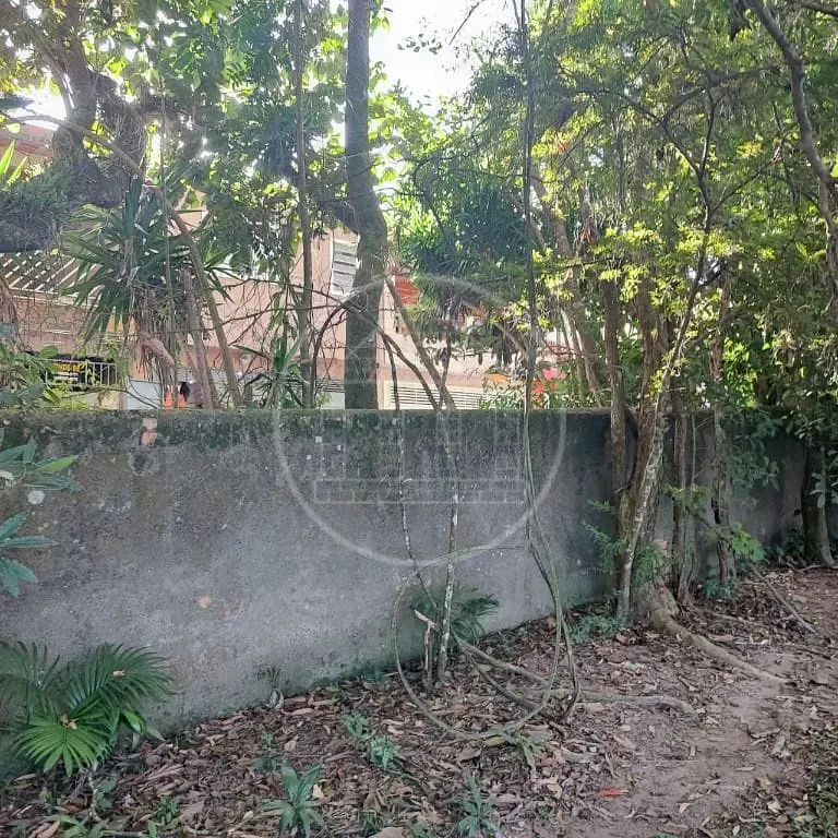 Terreno, 6000 m² - Foto 27