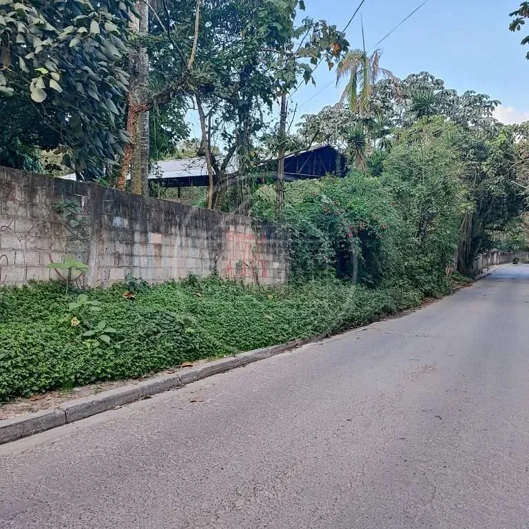Terreno, 6000 m² - Foto 5
