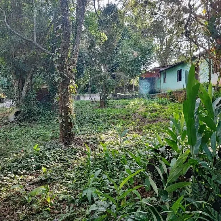 Terreno, 6000 m² - Foto 31