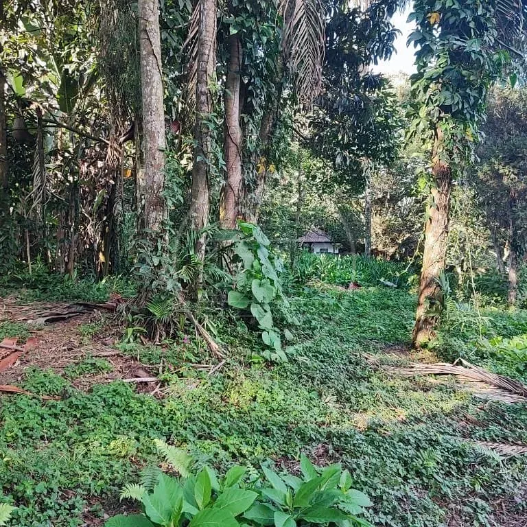 Terreno, 6000 m² - Foto 42