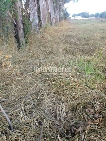 Terreno, 10 m² - Foto 6