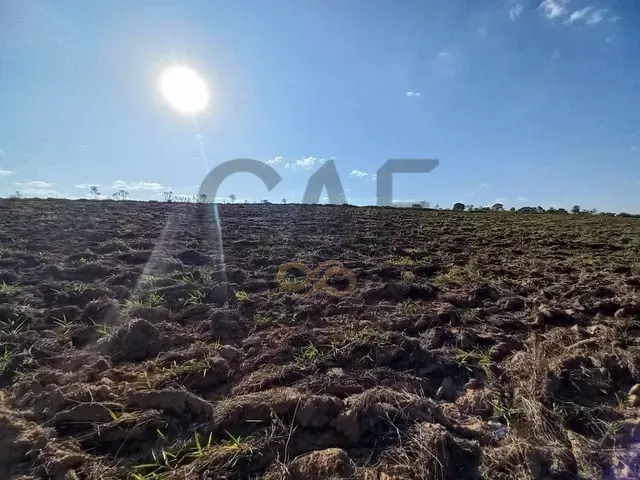 Terreno com 20000m², à venda, no bairro Área Rural de Santo Antônio de Posse em Santo Antônio de Posse