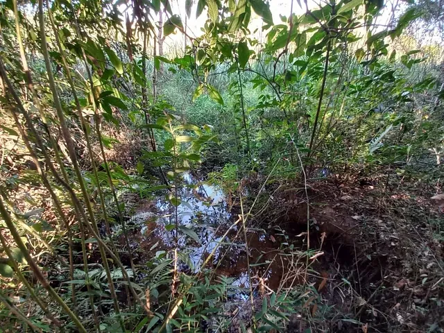 Terreno com 20000m², à venda, no bairro Área Rural de Santo Antônio de Posse em Santo Antônio de Posse