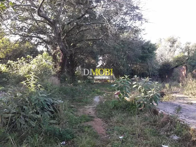 Terreno com 1215m², à venda, no bairro Salgado Filho em Gravataí