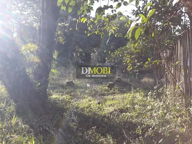 Terreno com 1215m², à venda, no bairro Salgado Filho em Gravataí