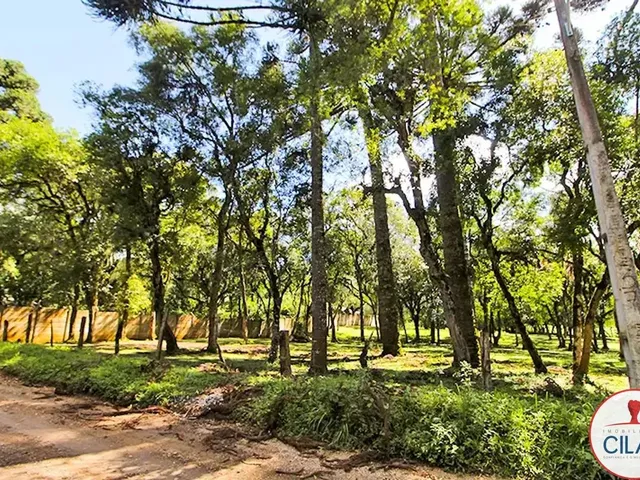 Terreno à venda, no bairro Jardim Formosa em Almirante Tamandaré