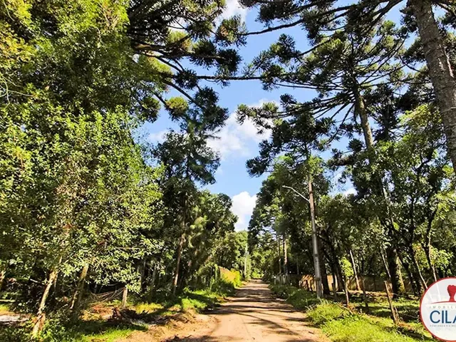 Terreno à venda, no bairro Jardim Formosa em Almirante Tamandaré
