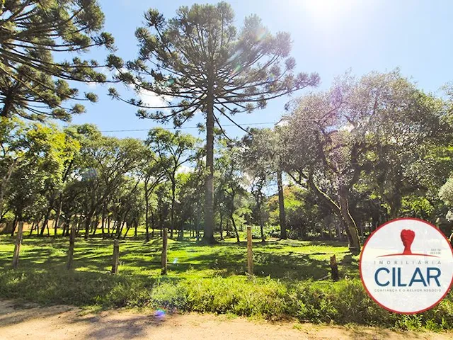 Terreno com 2460m², à venda, no bairro Jardim Formosa em Almirante Tamandaré
