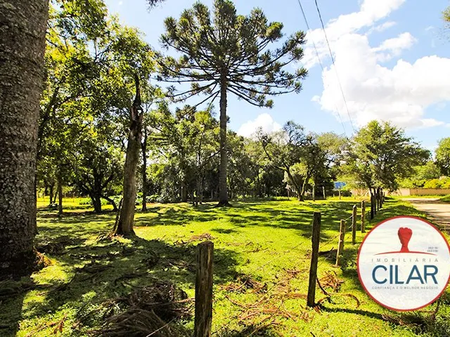 Terreno com 2460m², à venda, no bairro Jardim Formosa em Almirante Tamandaré