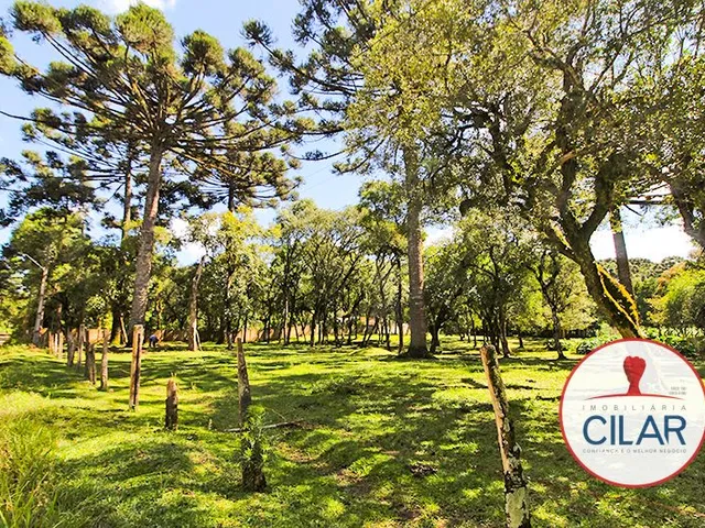 Terreno com 2460m², à venda, no bairro Jardim Formosa em Almirante Tamandaré