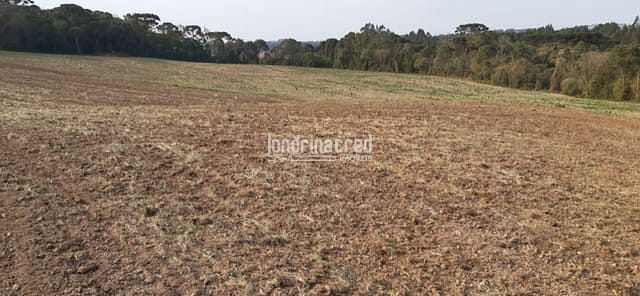 Terreno, 10 m² - Foto 2