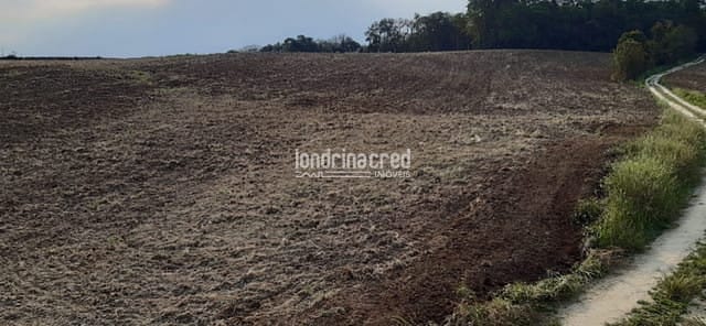 Terreno, 10 m² - Foto 1