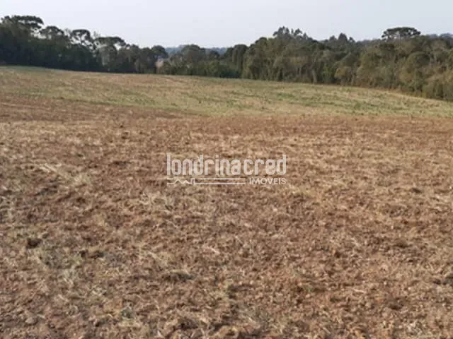 Terreno à venda, no bairro Zona Rural em Rio Azul