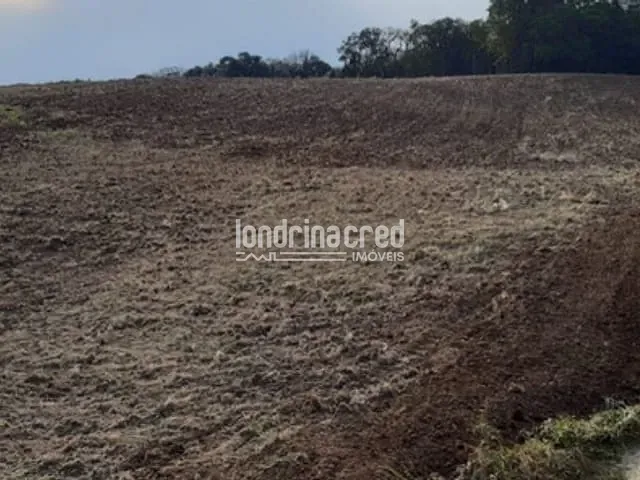 Terreno à venda, no bairro Zona Rural em Rio Azul