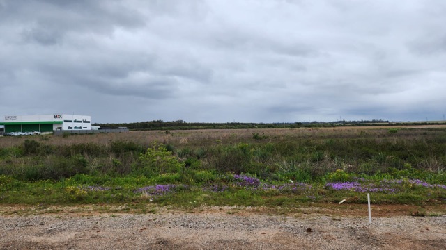 Amplo terreno à venda no bairro Industrial Eixo Sul, Pelotas – 14.000 m² (frente de 70m pela BR-116 e lateral de 200 m) em localização estratégica!