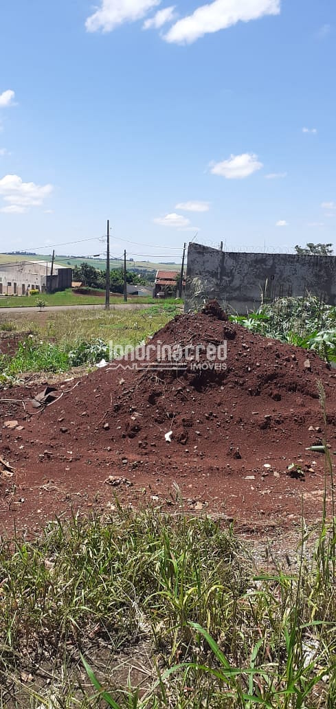 Terreno, 250 m² - Foto 1