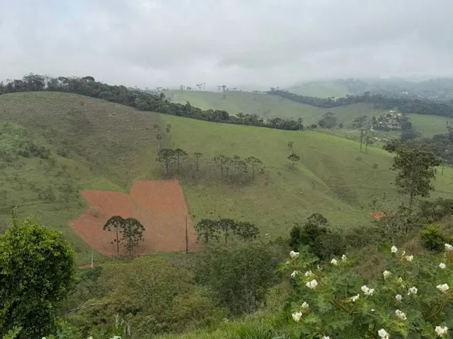 Terreno com 1009m², à venda, no bairro Santo Antônio Do Pinhal em Santo Antônio Do Pinhal