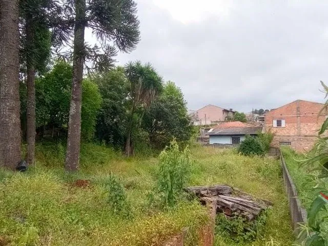 Terreno à venda, no bairro Cachoeira em Curitiba