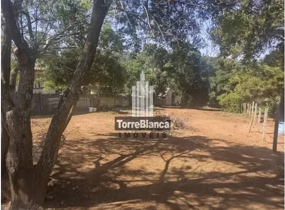 Terreno, 1050 m² - Foto 3