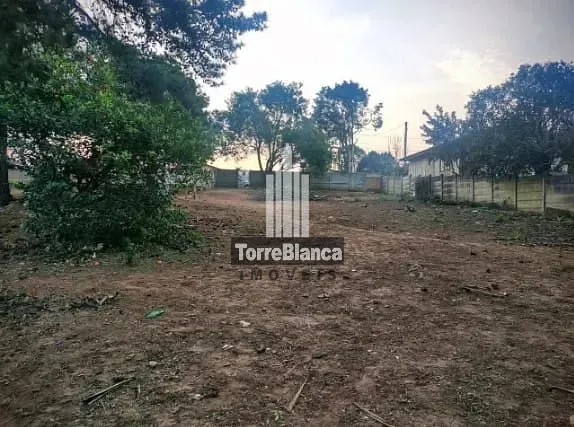 Terreno, 1050 m² - Foto 5
