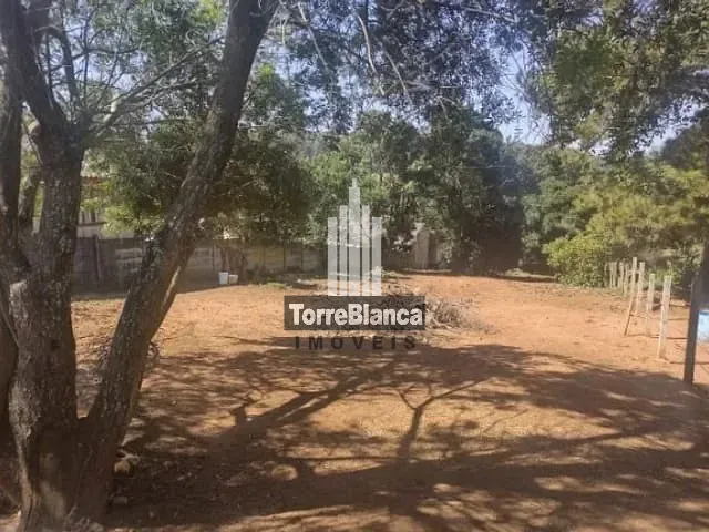 Terreno com 1050m², à venda, no bairro Uvaranas em Ponta Grossa