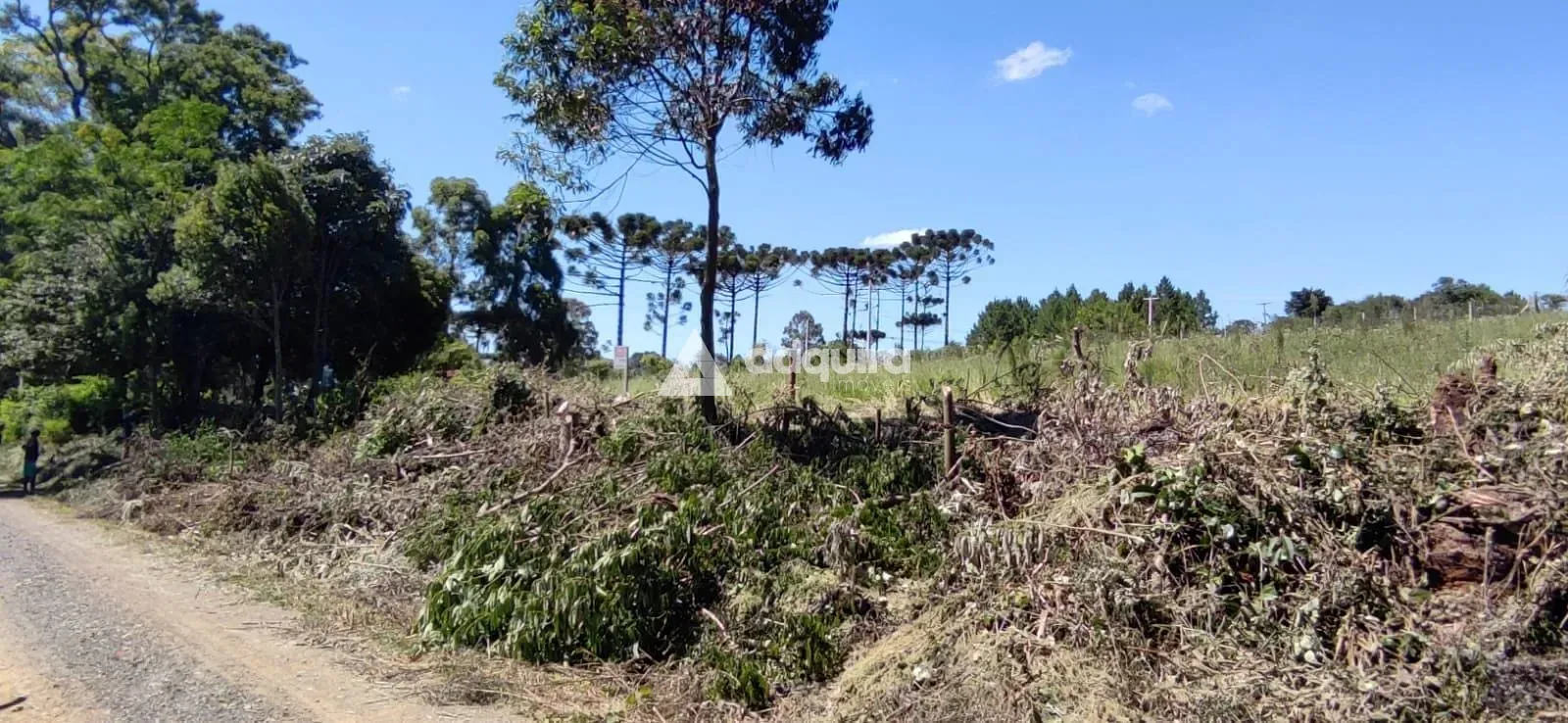 Terreno, 500 m² - Foto 3