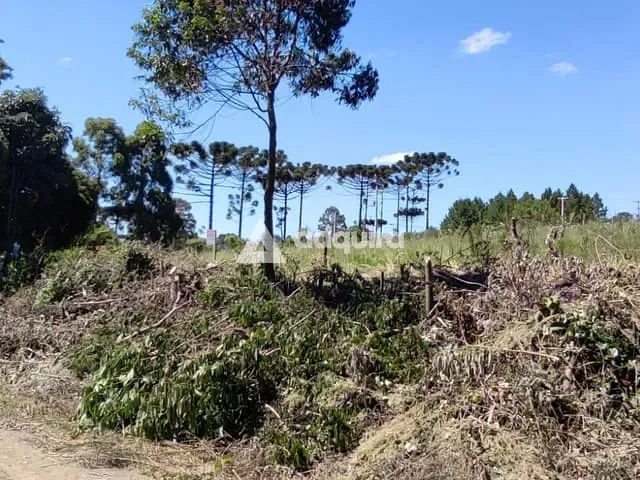 Terreno com 500m², à venda, no bairro chapada em Ponta Grossa