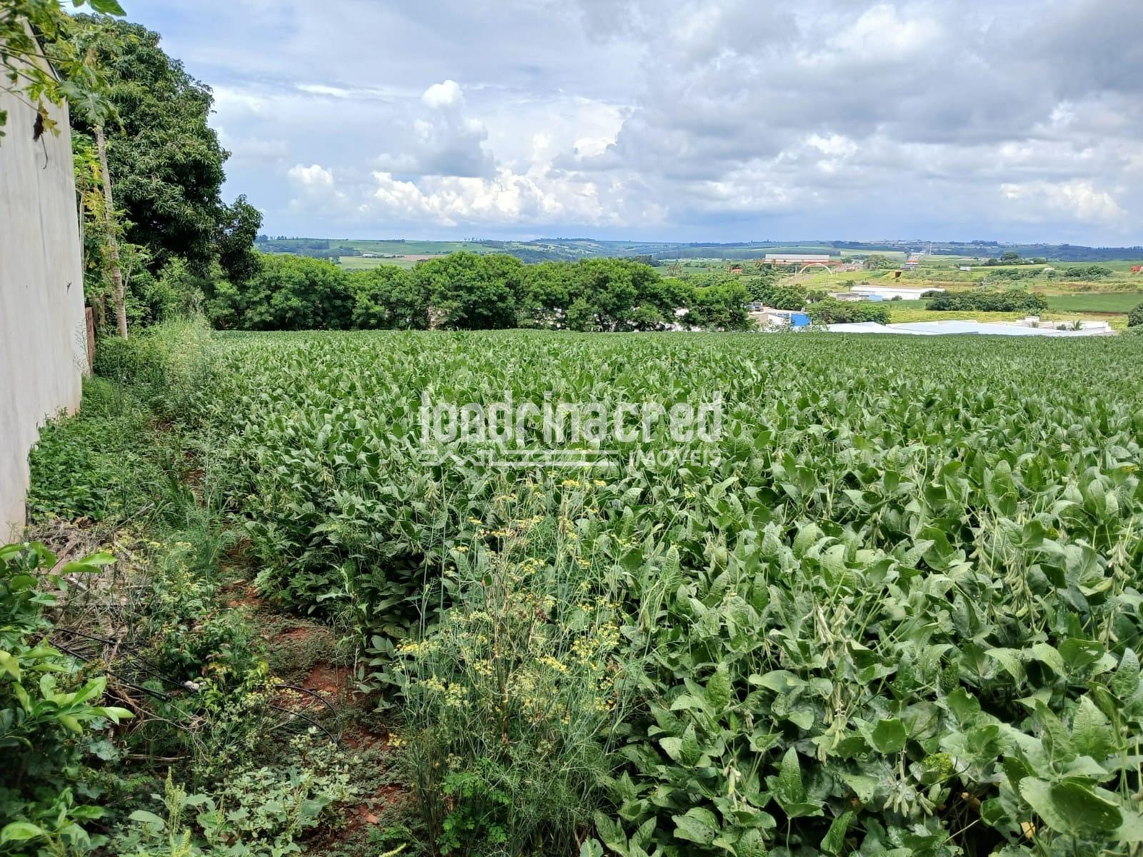 Terreno, 2 hectares - Foto 1