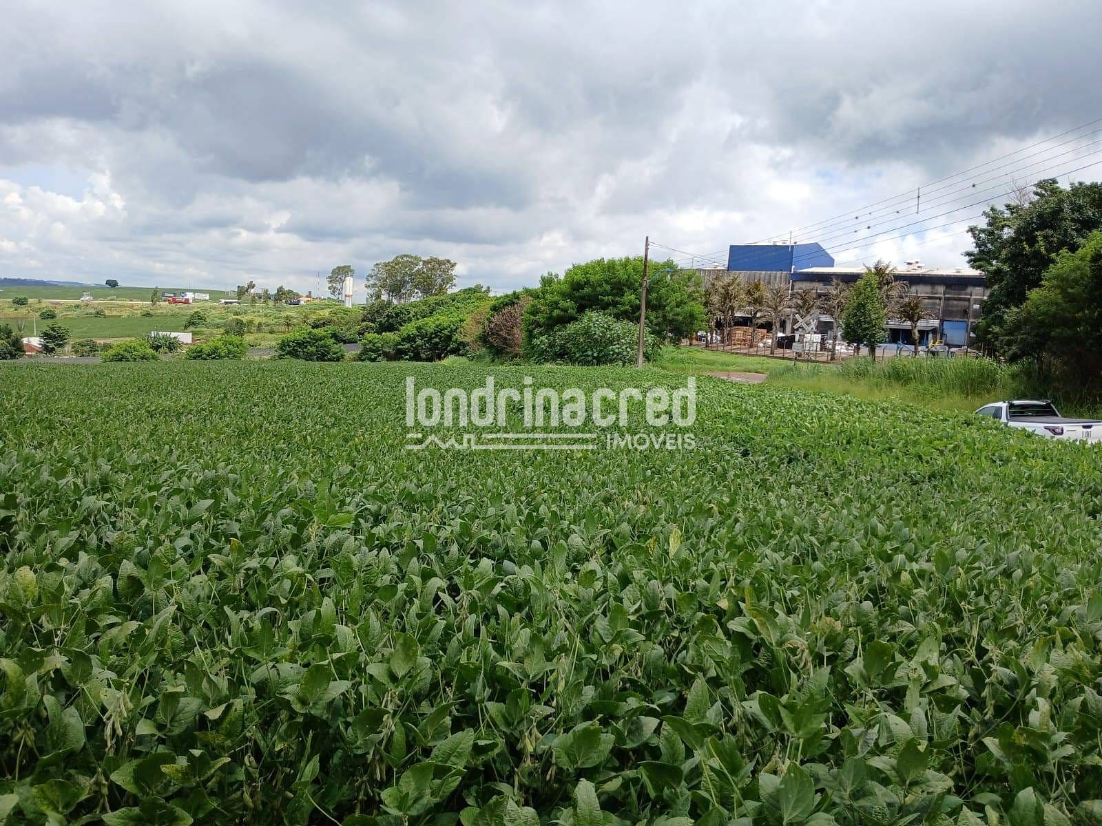 Terreno, 2 hectares - Foto 6