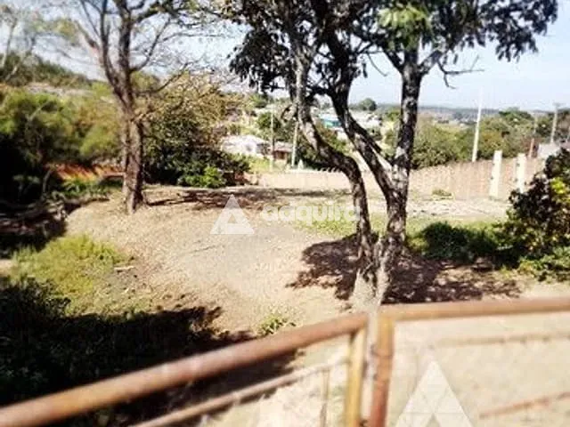 Terreno com 658m², à venda, no bairro Olarias em Ponta Grossa