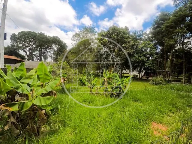 Terreno com 267m², à venda, no bairro Jardim das Palmeiras (Zona Sul) em São Paulo