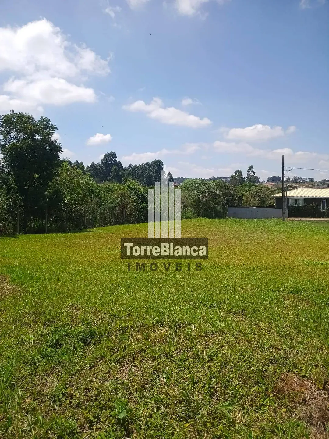 Terreno, 236 m² - Foto 5