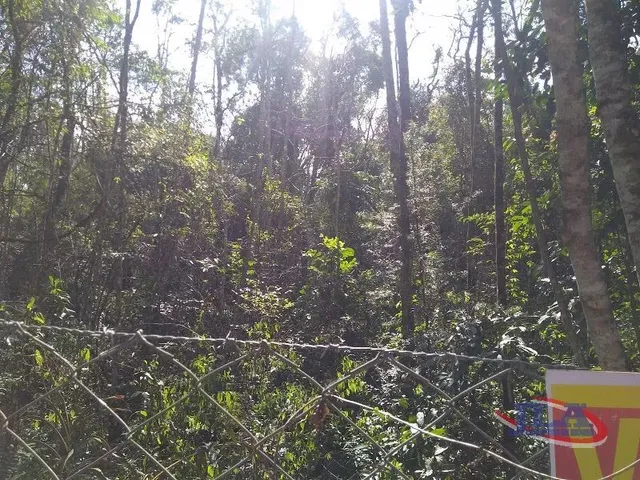 Terreno à venda, no bairro Abranches em Curitiba
